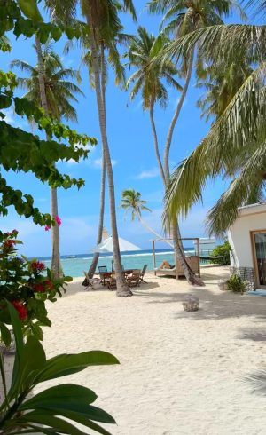 WhatsApp Image 2025-07-16 at 15.33.29_2c45dbac