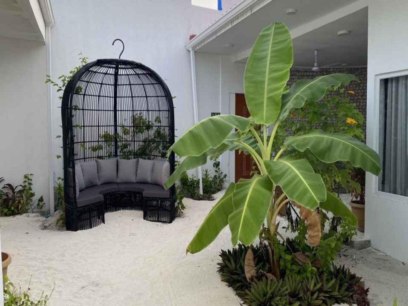 WhatsApp Image 2025-09-08 at 16.42.41_eafff824