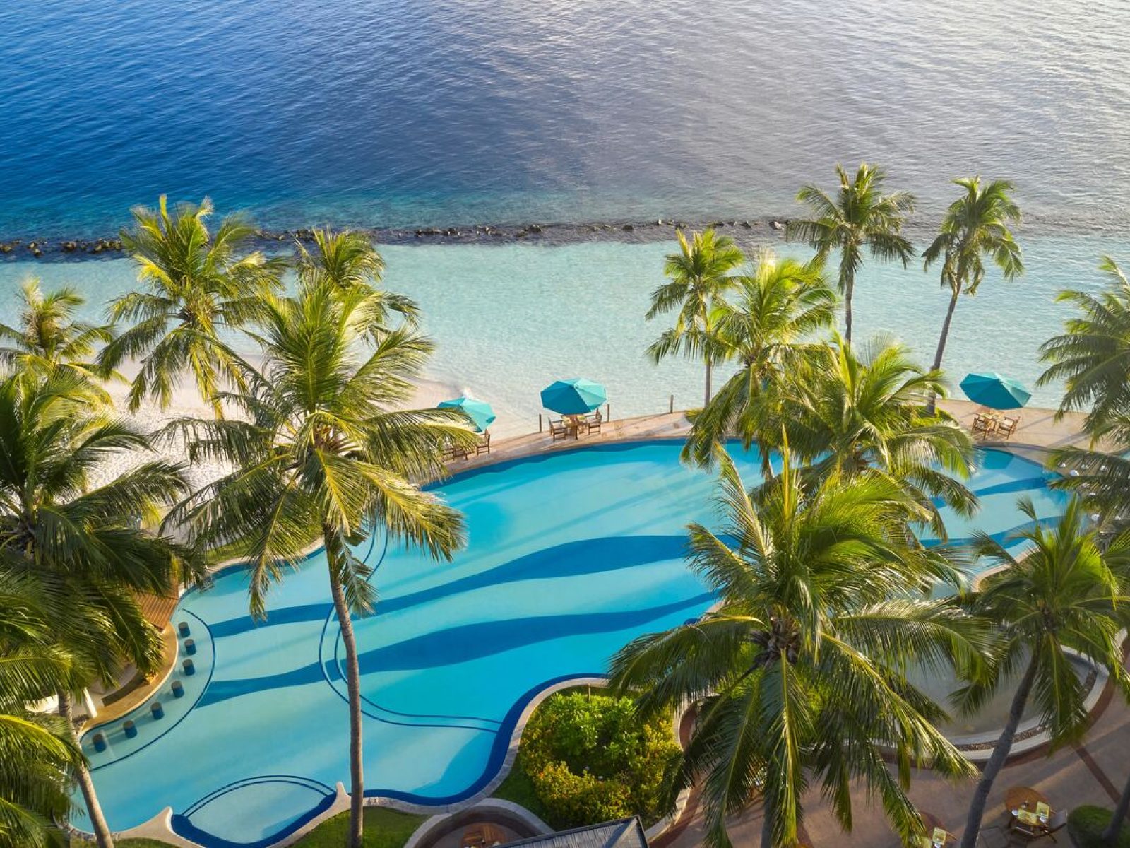 WhatsApp Image 2025-11-08 at 19.05.46_31874bf9