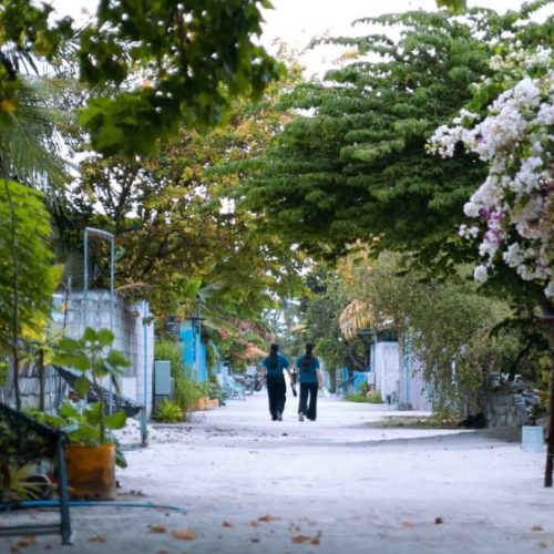 WhatsApp Image 2025-12-22 at 3.57.11 PM (1)